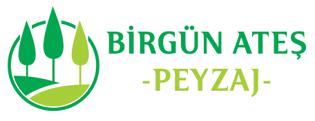 BİRGÜN ATEŞ PEYZAJ